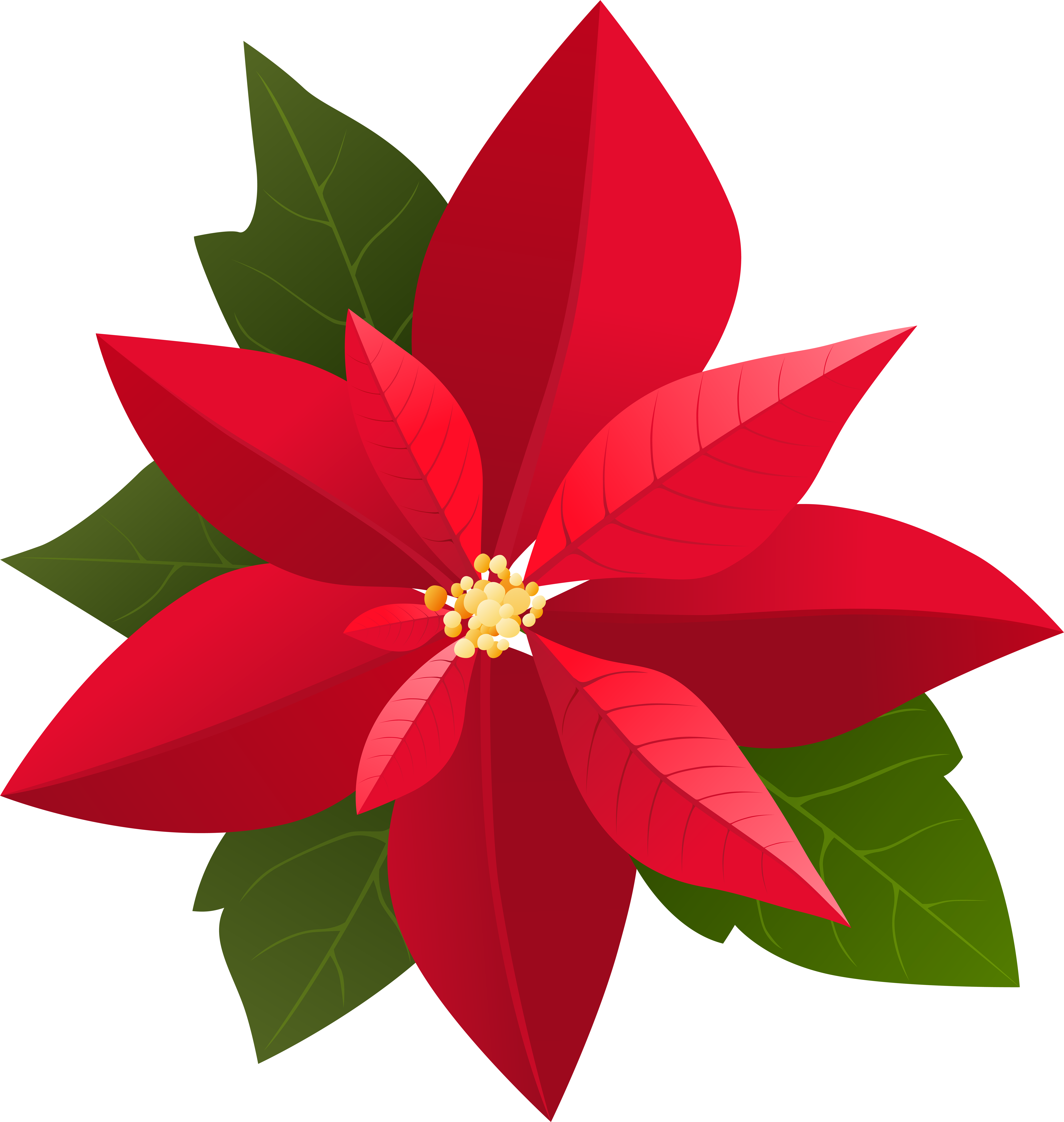 Christmas Poinsettia Png Clip Art Transparent Png (7586x8000), Png Download