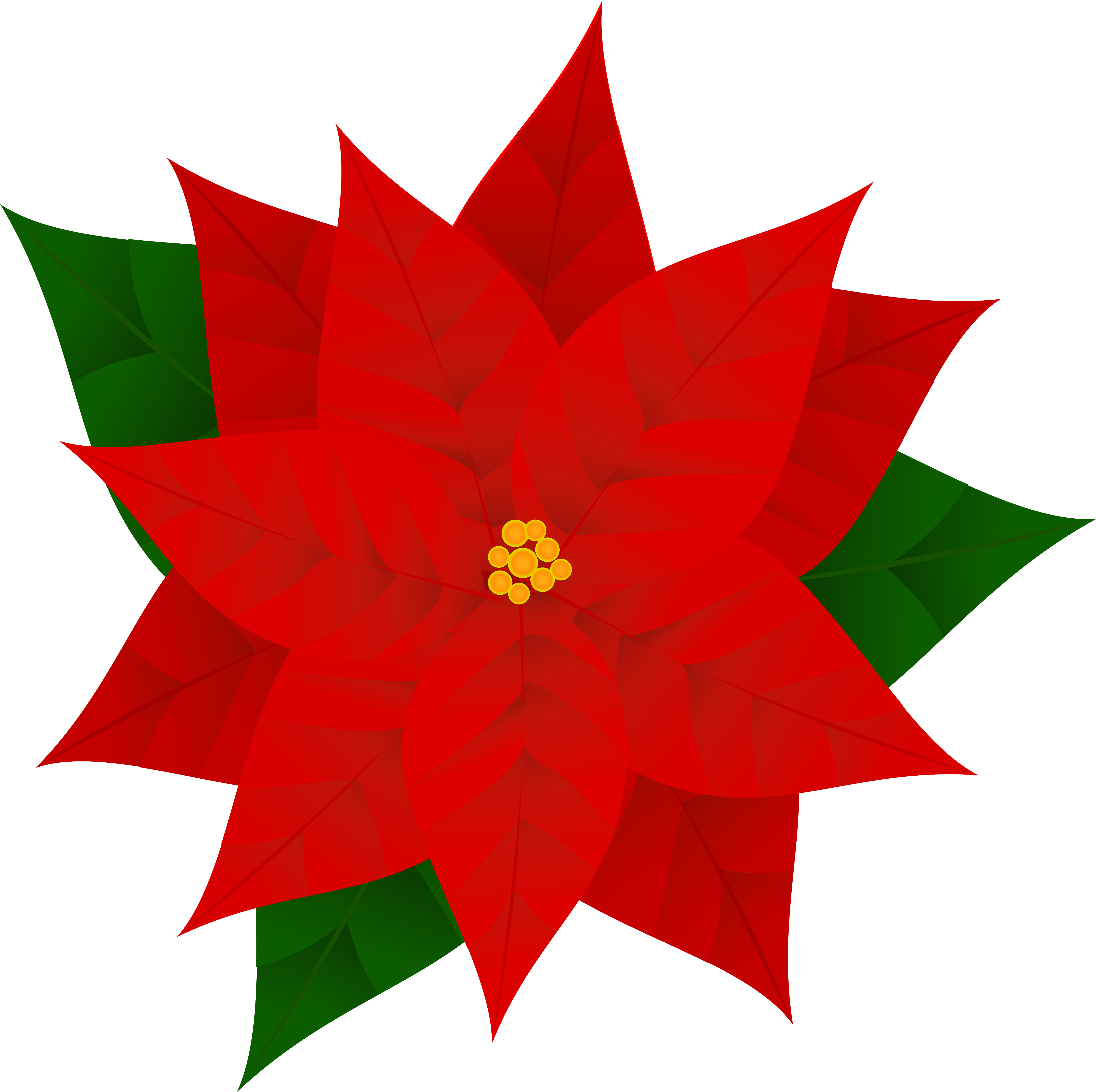 Poinsettia Png Clipart Image - Clip Art Poinsettia Transparent Png (6032x6019), Png Download