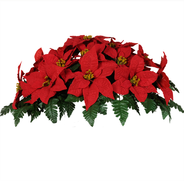 Christmas Poinsettia - Fleurs De Noel Pour Cimetiere Clipart (600x600), Png Download