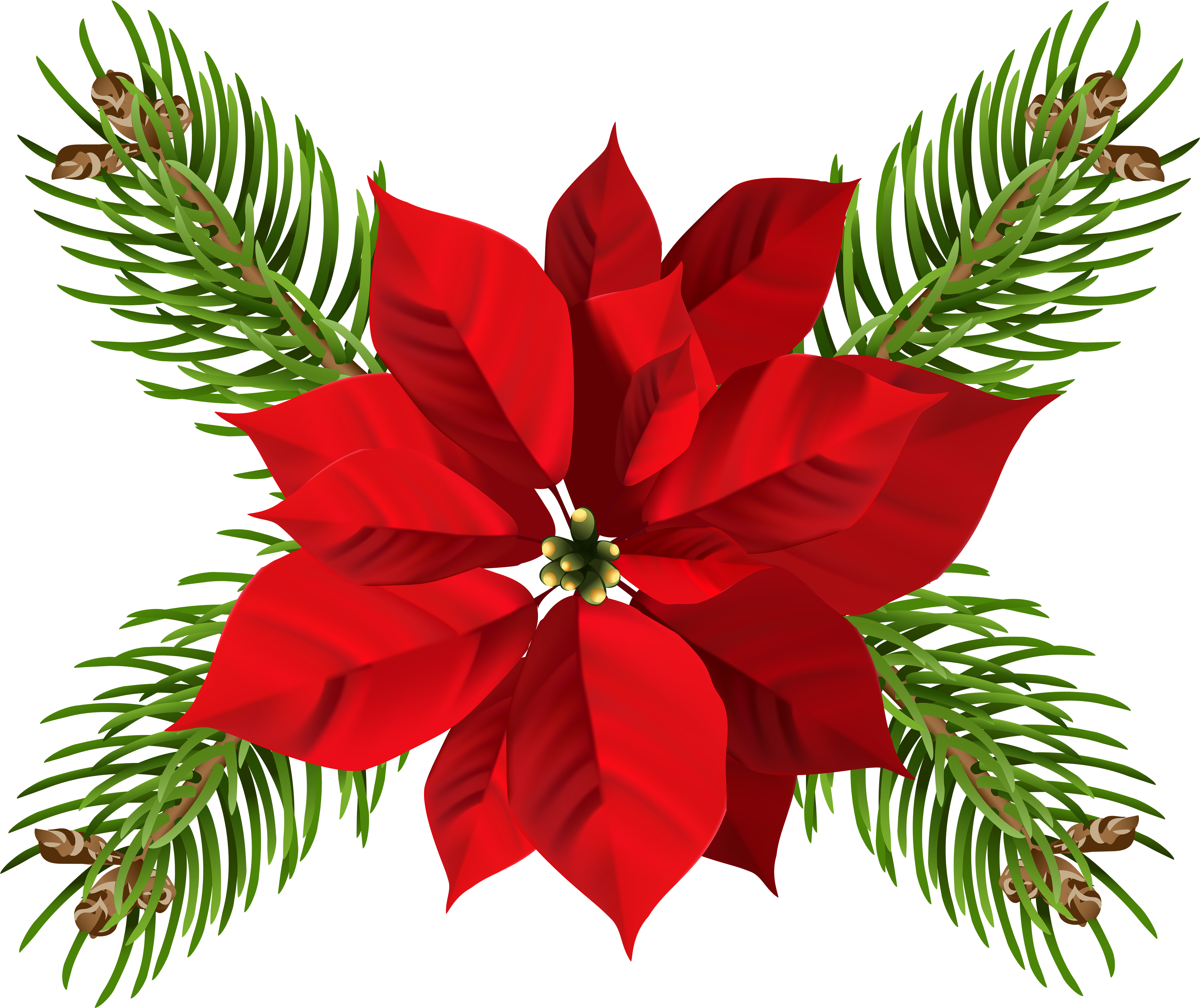 Free Png Christmas Poinsettia Png - Transparent Background Poinsettia Png Clipart (850x709), Png Download