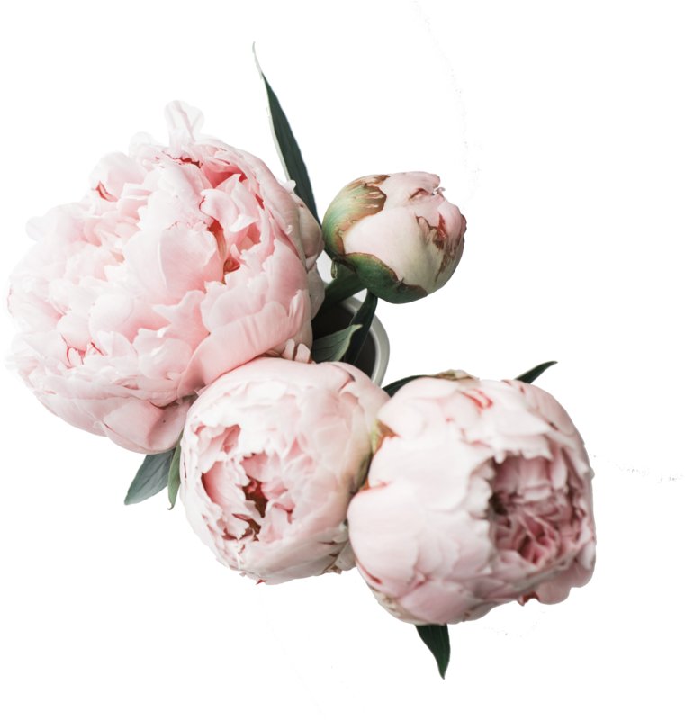 About Page - Flower Desktop Wallpaper Peonies Clipart (1200x800), Png Download