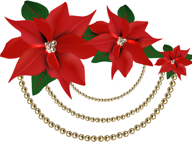 Poinsettia Clipart Christmas Rose - Flores Png Navidad Transparent Png (640x480), Png Download
