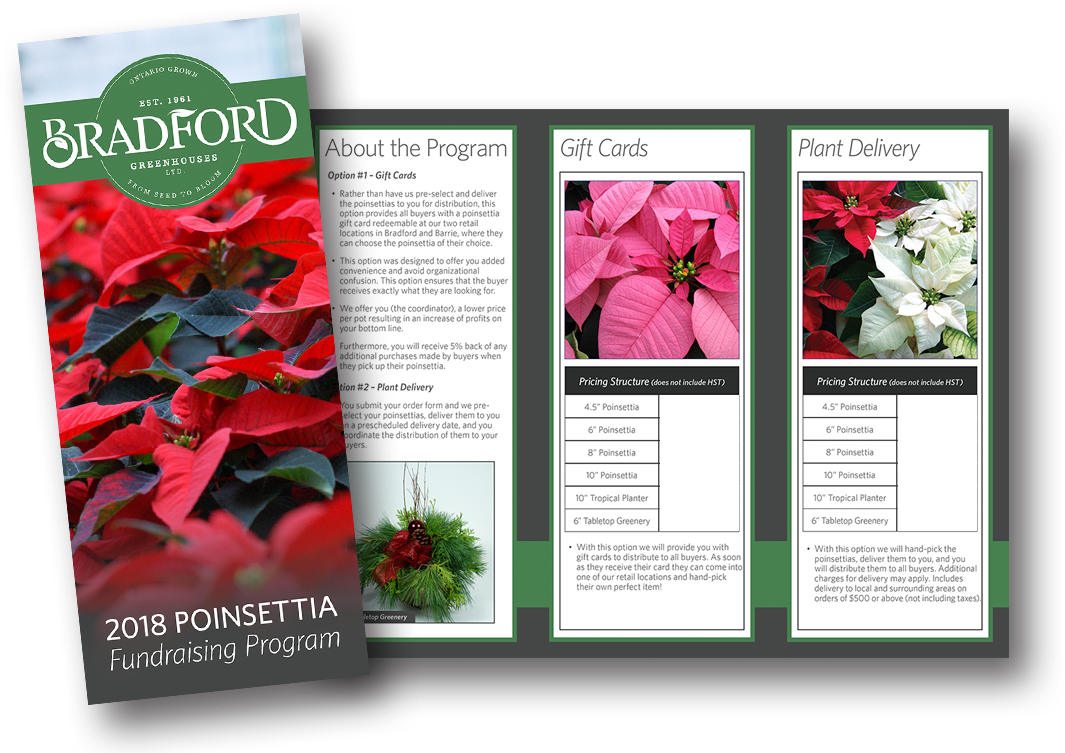 How To Order - Poinsettia Clipart (1146x788), Png Download