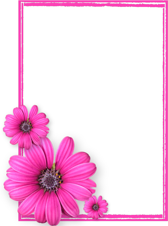 Pink Flower Frame Png Photos8 - Psalm 107 8 Kjv Bible Verse Clipart (600x790), Png Download