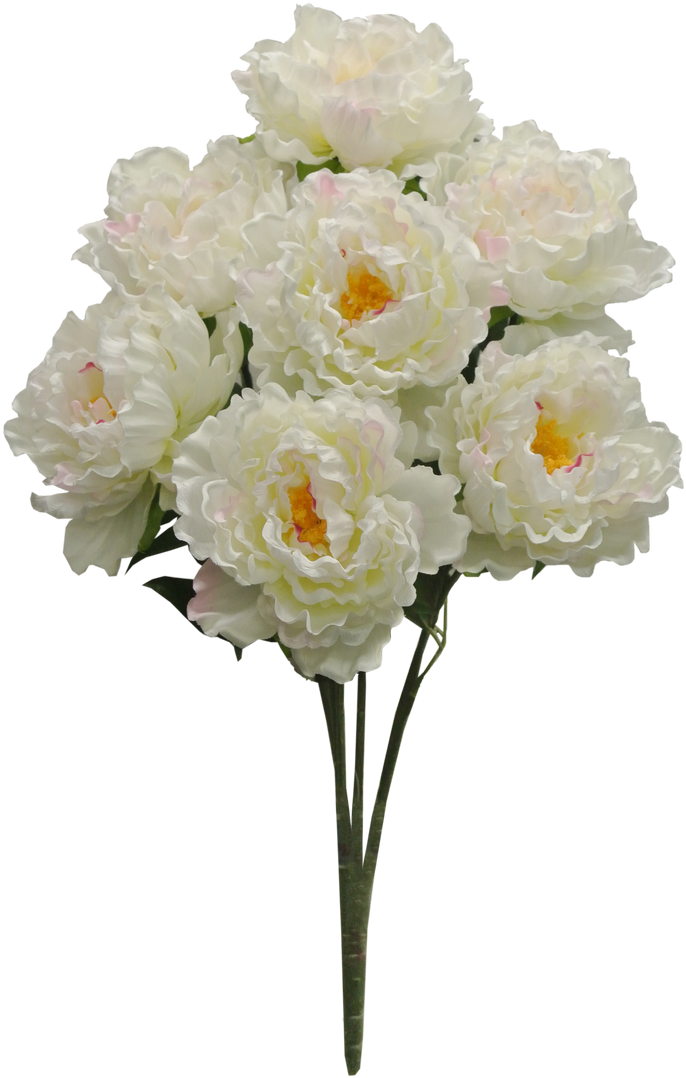 Cream Peony Bush X7 Sale Item - Bouquet Clipart (700x1093), Png Download