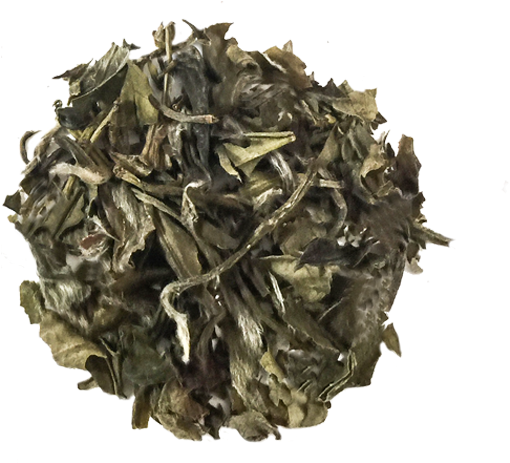Loose Leaf Green Tea Clipart (600x600), Png Download
