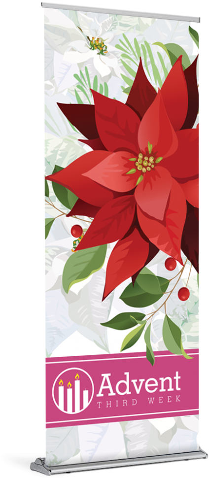 Tap To Expand - Poinsettia Clipart (1024x1024), Png Download