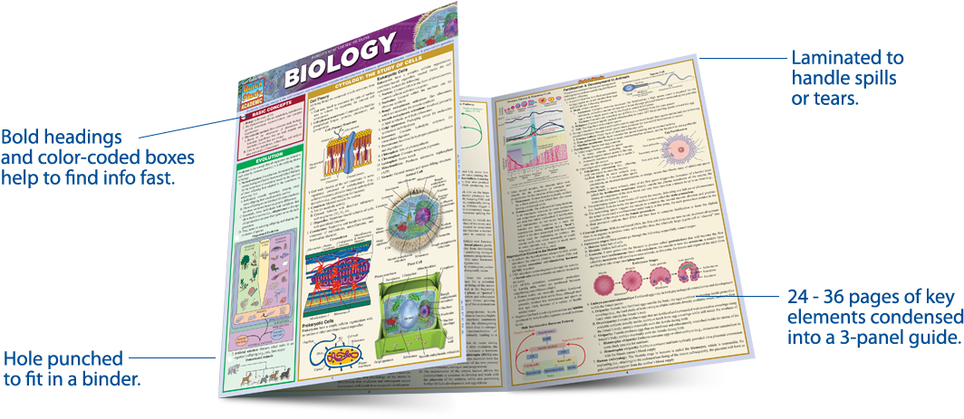 Study Guides - Biology Barcharts Clipart (1172x500), Png Download