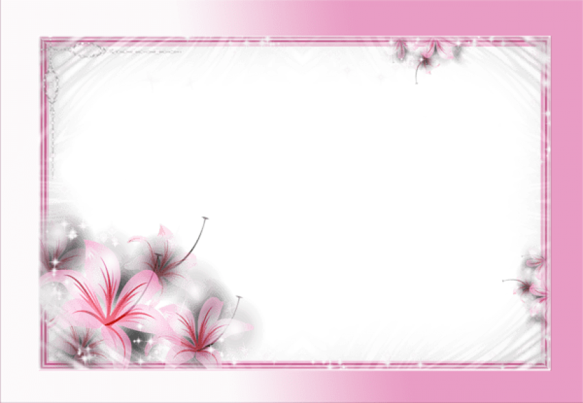 Free Png Best Stock Photos Beautiful Delicate Pink Karizma Album