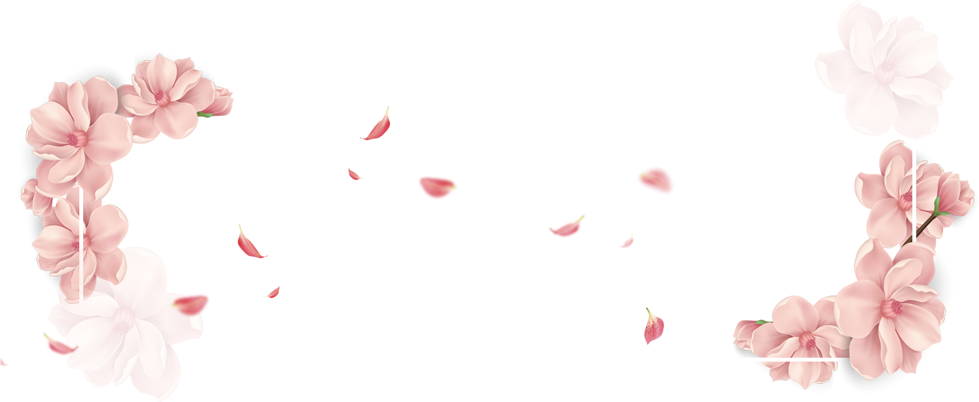 Download - Casamento Plano De Fundo Romantico Clipart (2251x1055), Png Download