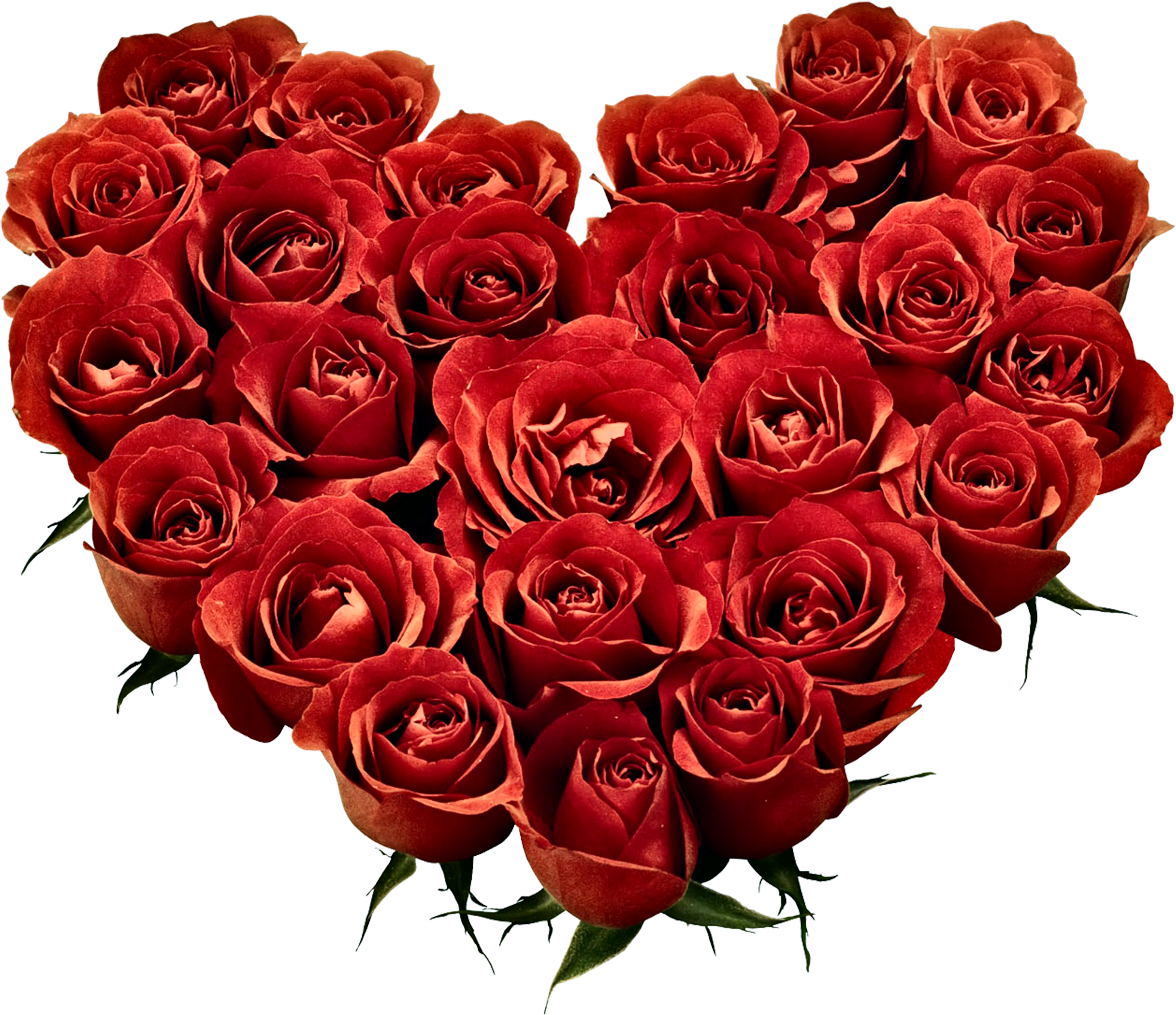 Image Download Day February Propose Wish National Hugging - Red Roses Pic Download Clipart (4000x3000), Png Download