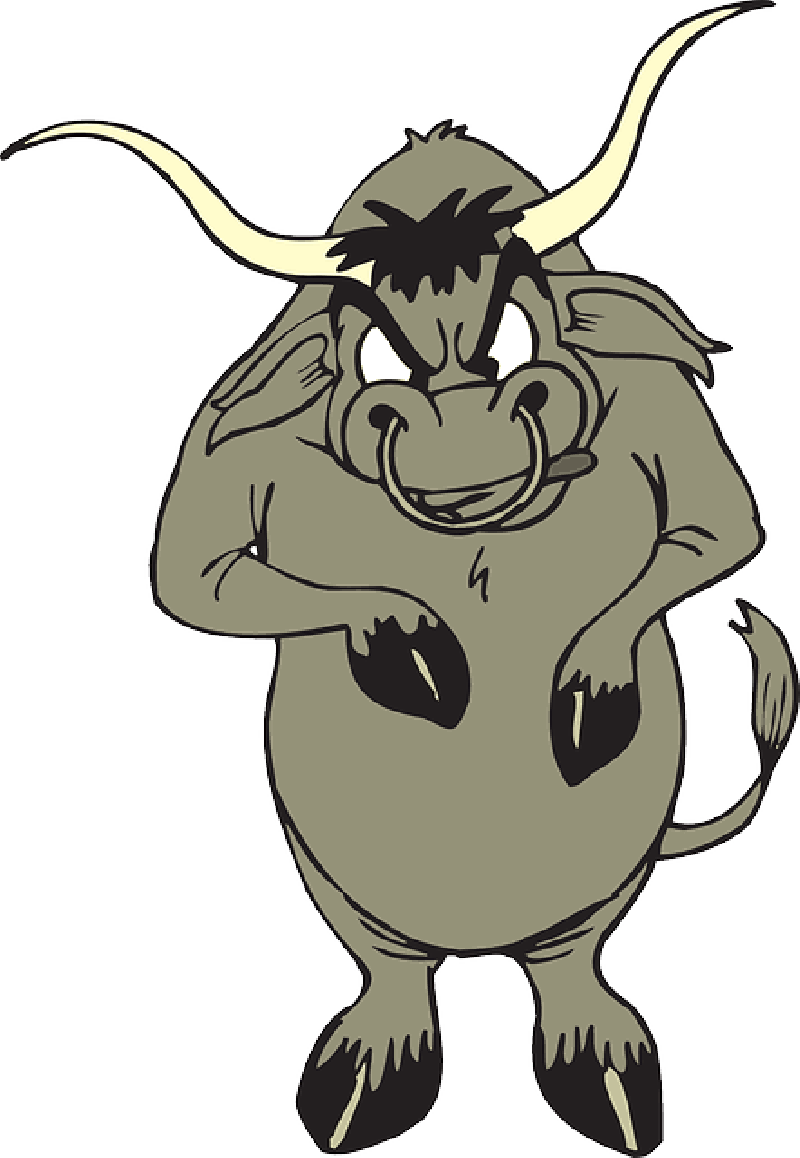 Angry Bull With Nose Ring , Png Download - Bull With Nose Ring Animated Clipart (800x1158), Png Download