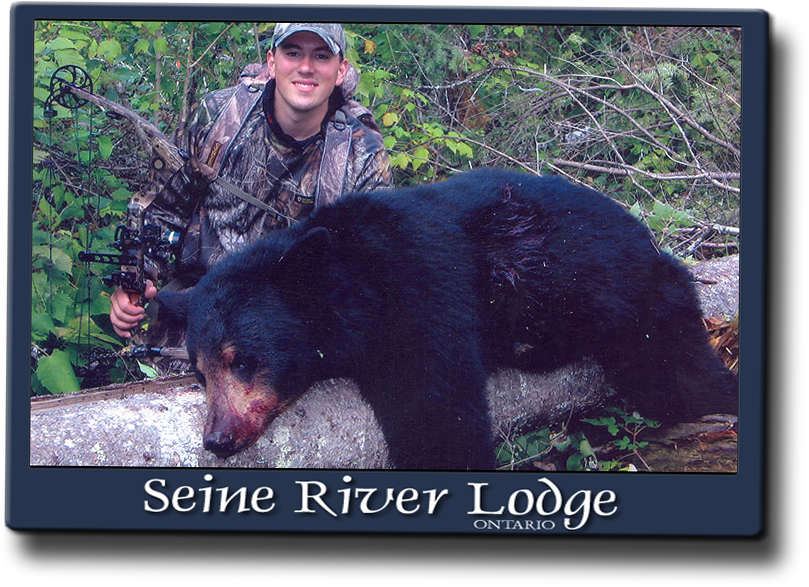 We Average 70 % Success Rate, But Flirt With 100% Each - American Black Bear Clipart (809x587), Png Download