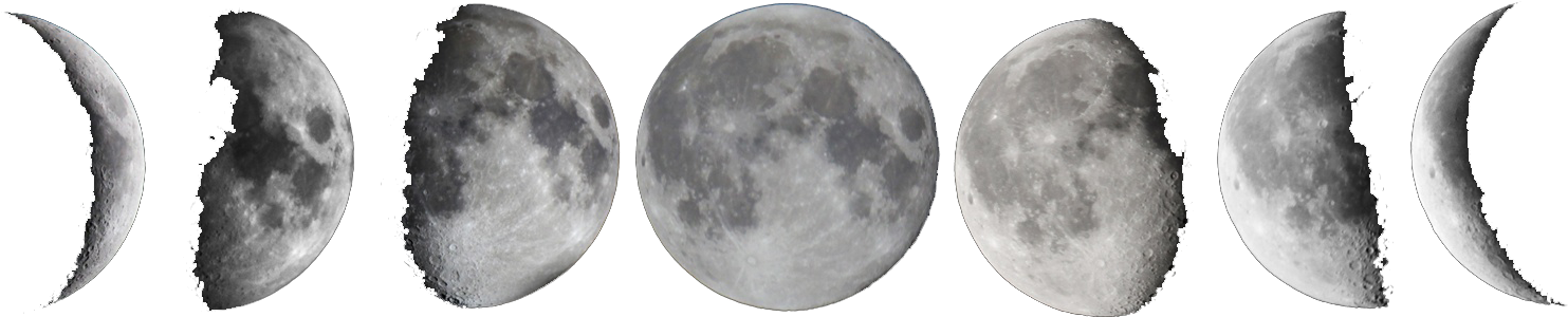 Moon Png Free Download - Moon Phases Png Free Clipart (1600x383), Png Download