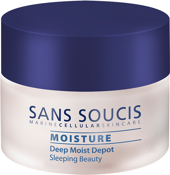 Moisture Deep Moist Depot Sleeping Beauty Night Cream - Cosmetics Clipart (960x960), Png Download