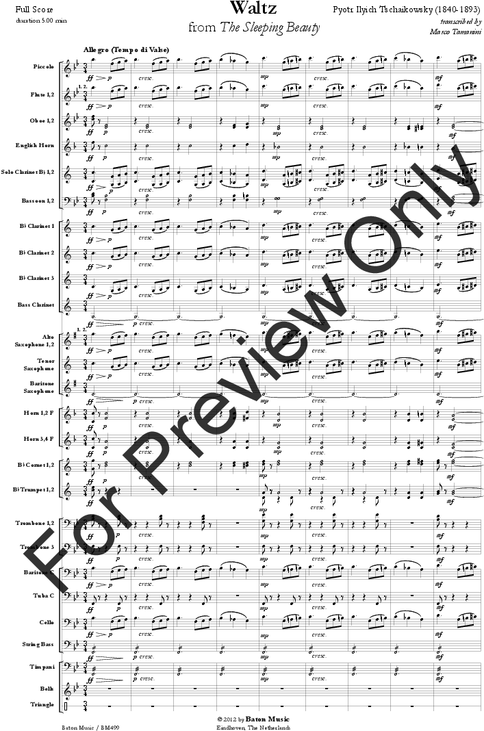 Waltz Thumbnail - Solitary Wish Cello Sheet Music Clipart (793x1123), Png Download