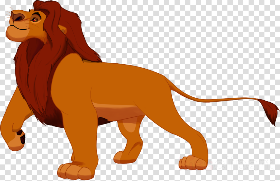Download Lion King Png Clipart Mufasa Lion Simba Lion - Transparent Background Lion Clipart Png (900x580), Png Download
