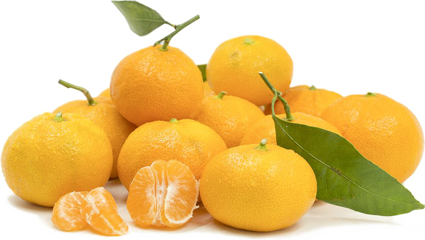 Mandarin Orange Png Image Background - Tangerine Clipart (872x493), Png Download
