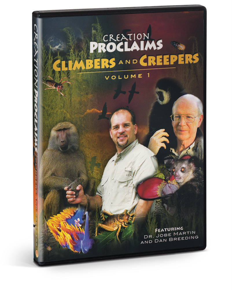 Dvd Clipart (1000x1000), Png Download