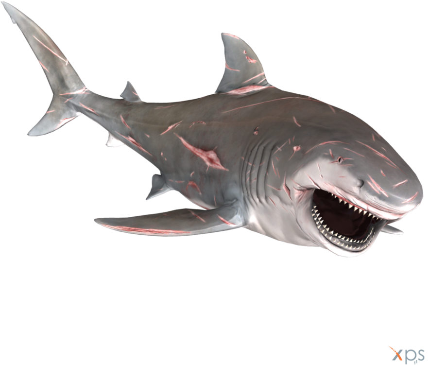 Bull Shark Png Graphic Transparent Stock Clipart (881x751), Png Download