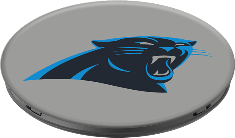 Carolina Panthers Helmet - Circle Clipart (1000x1000), Png Download