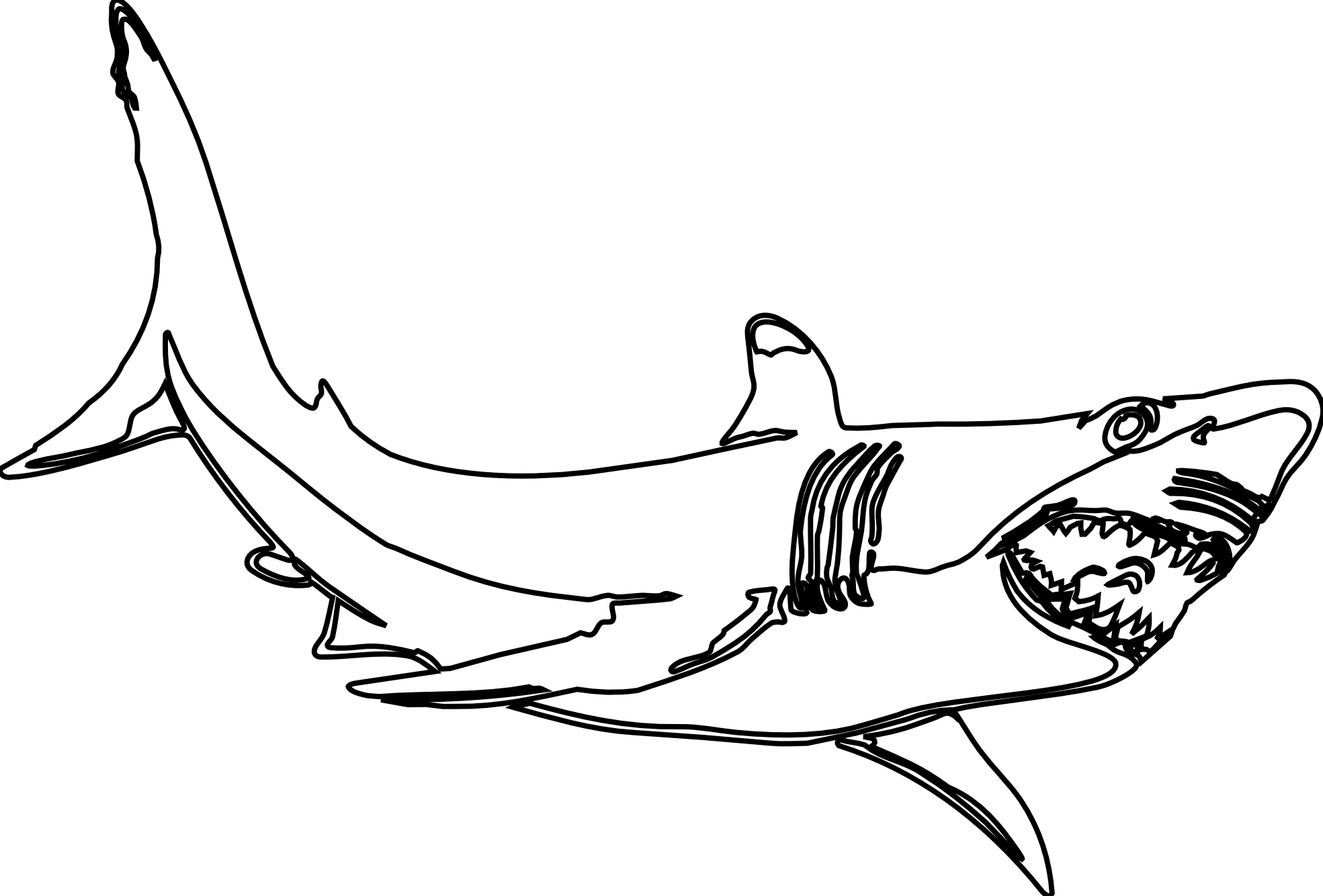 Great White Shark Clipart Black And White - Great White Shark Black And White - Png Download (1969x1334), Png Download