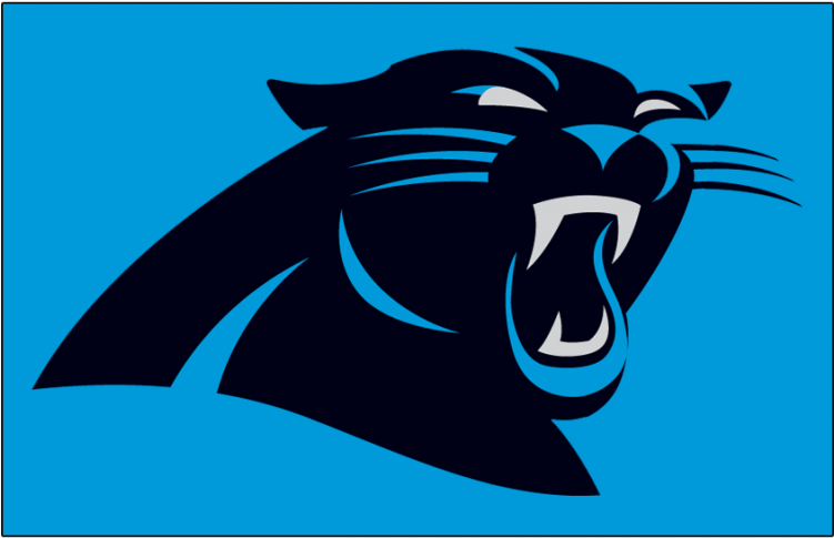 Carolina Panthers Iron Ons - Falcons Vs Panthers Clipart (750x930), Png Download