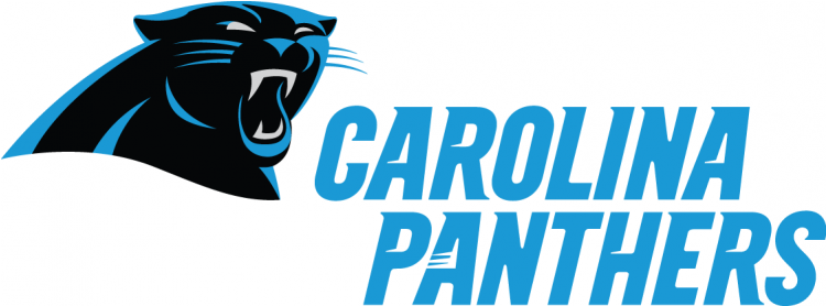 Carolina Panthers Iron On Stickers And Peel-off Decals - Carolina Panthers New Clipart (750x930), Png Download