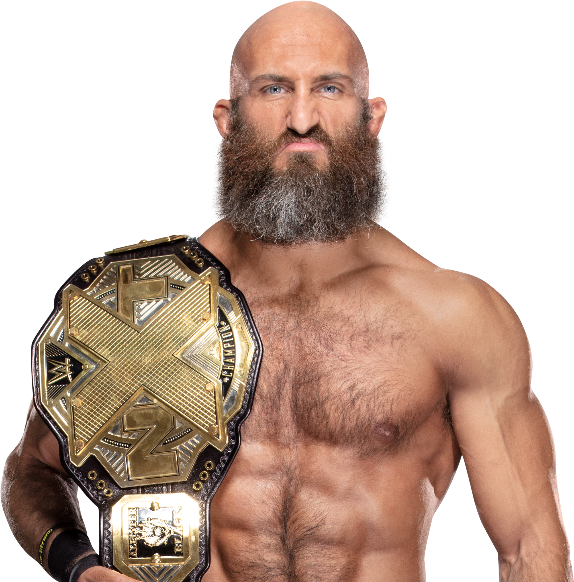 Tommaso Ciampa Clipart (2940x2080), Png Download