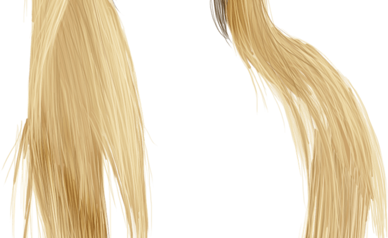 15 Anime Girl Hair Png For Free Download On Mbtskoudsalg - Blond Clipart (800x491), Png Download