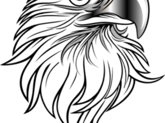 Eagles Art Clip - Png Download (640x480), Png Download