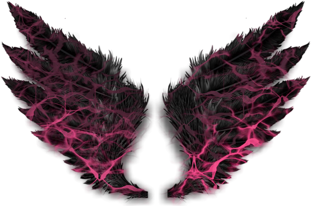 Report Abuse - Bird Wings Png Hd Clipart (1024x690), Png Download