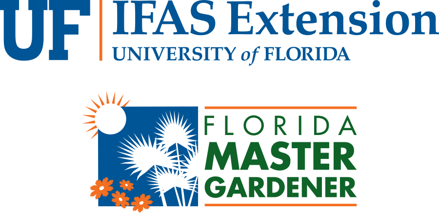Uf/ifas Master Gardener Logo Stacked Color Small - University Of Florida Master Gardening Clipart (900x437), Png Download