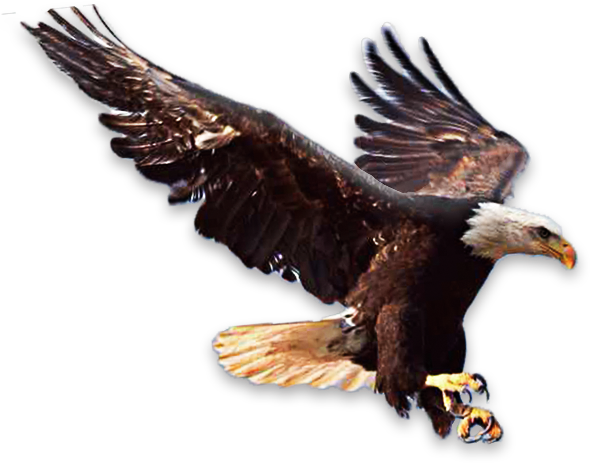 Principles Of Faith [book] , Png Clipart (1925x1509), Png Download