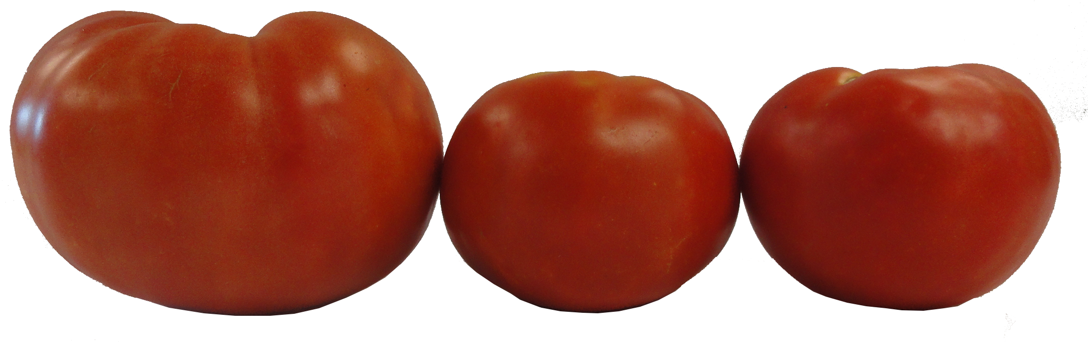 2014 Evaluation Of Determinate Tomato Varieties In - Red Deuce Tomato Results Clipart (2160x708), Png Download