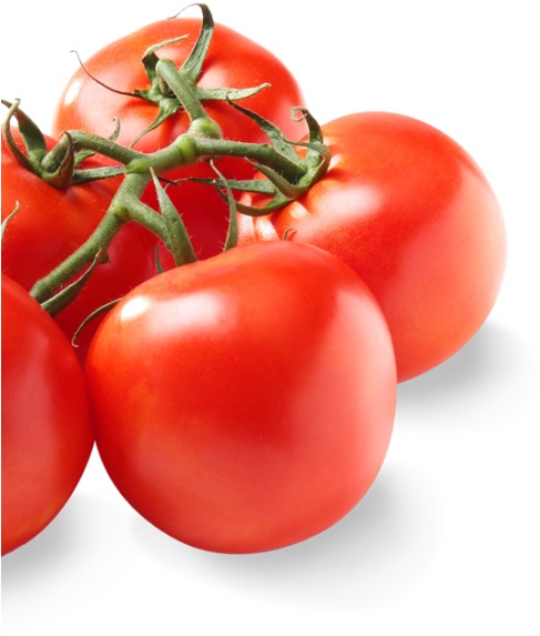 640 X 640 0 - Plum Tomato Clipart (640x640), Png Download