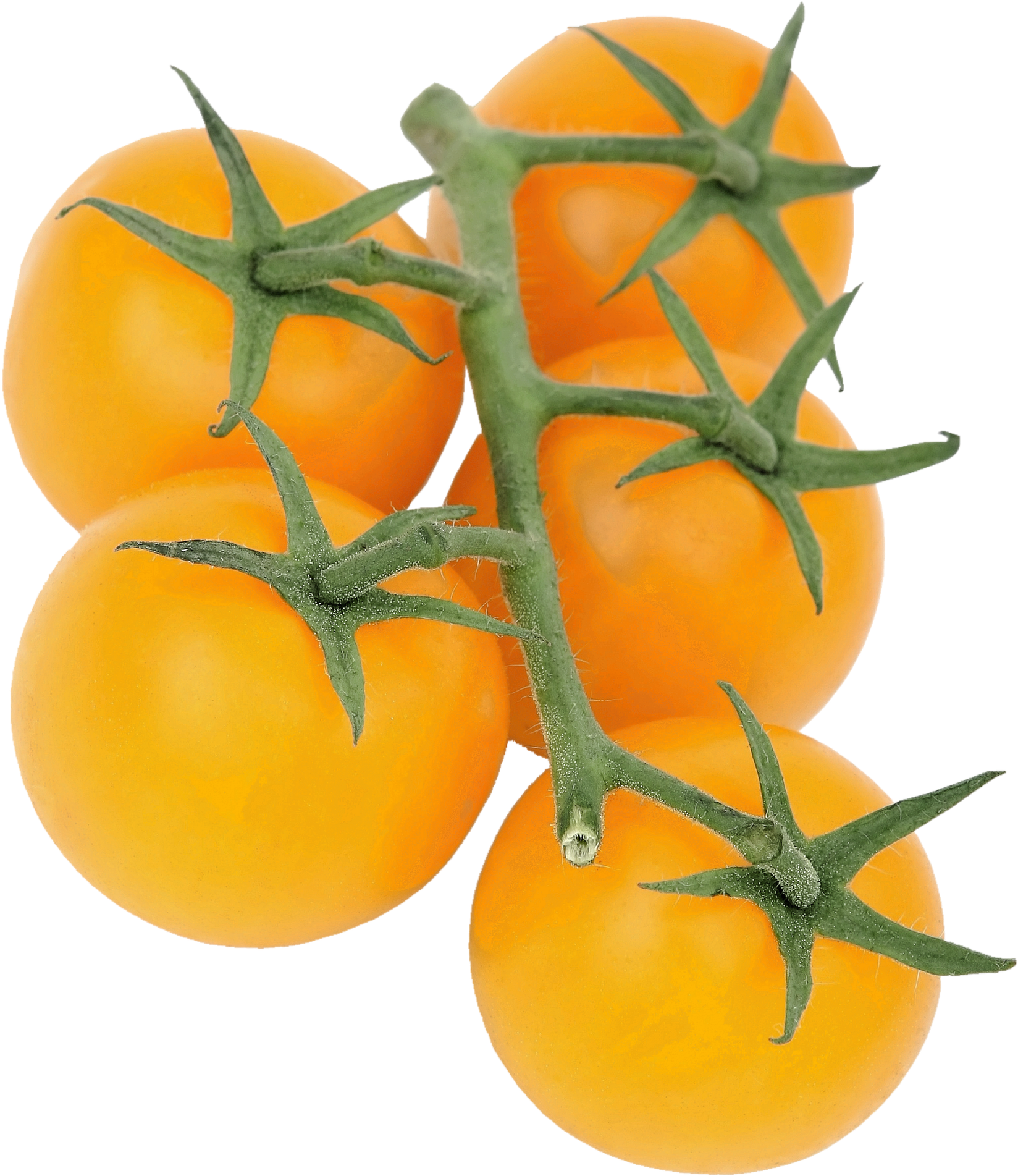 Cherry Tomato Yellow Clipart (1650x1920), Png Download
