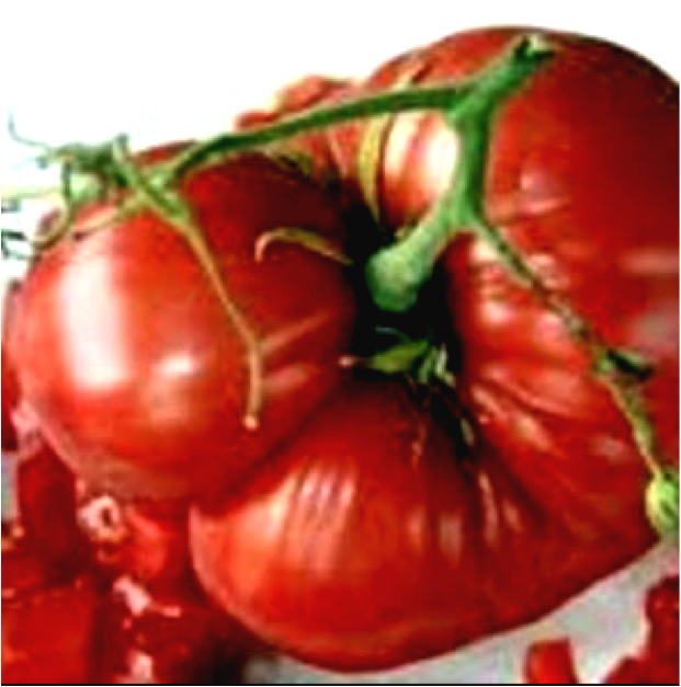 Morgtage Lifter Tomato Photo Source - Tomato Mortgage Lifter Clipart (621x627), Png Download