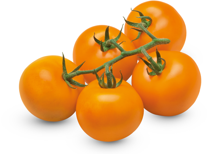 Orange Vine Tomatoes - Orange Tomatoes Png Clipart (800x560), Png Download