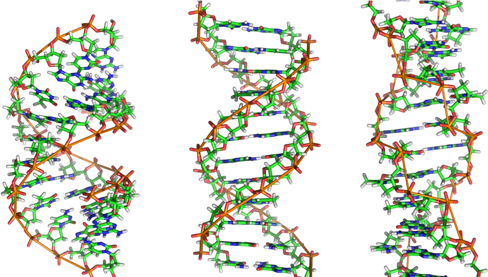 A Beautiful Microbe - Molecule Dna Clipart (1000x541), Png Download