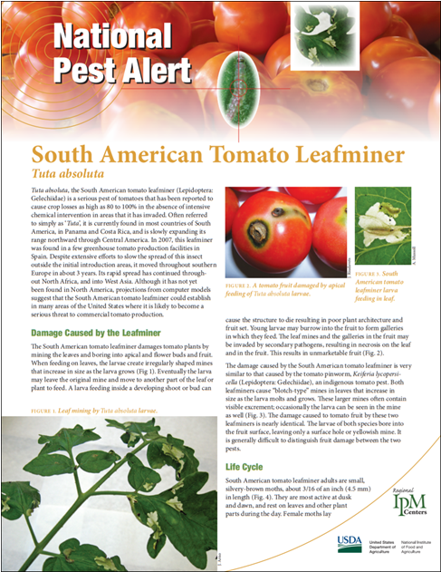 Flyer Clipart (1200x630), Png Download