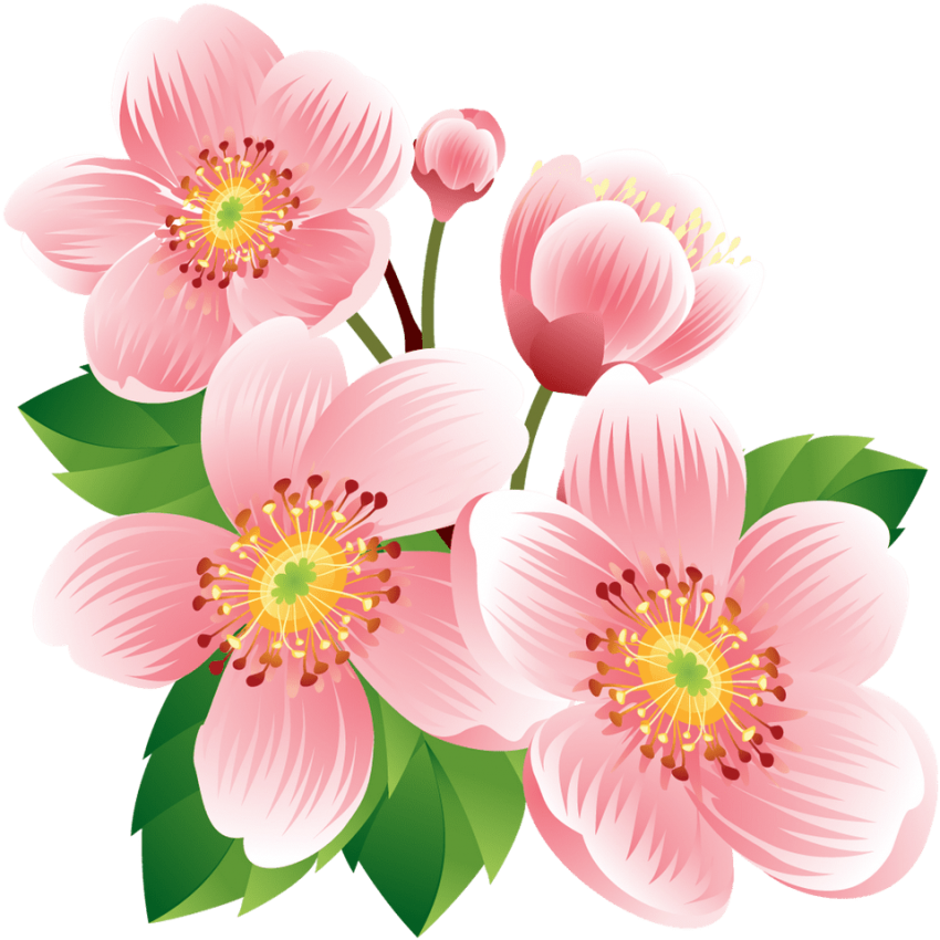 Free Png Download Flower Banner Png Images Background - Flower Banner Clipart (850x850), Png Download