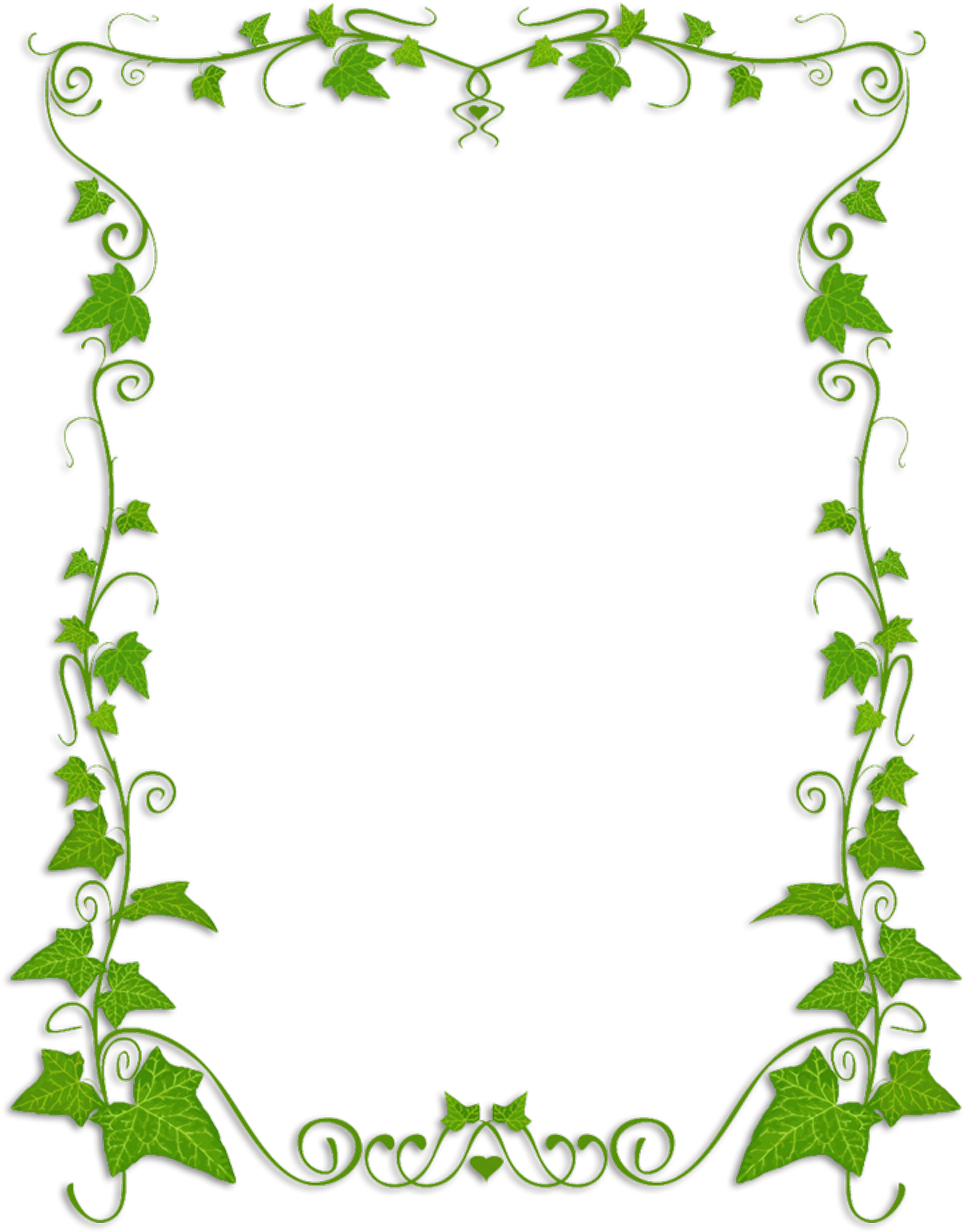 Common Ivy Plant Vine Clip Art - Png Download (3566x4556), Png Download