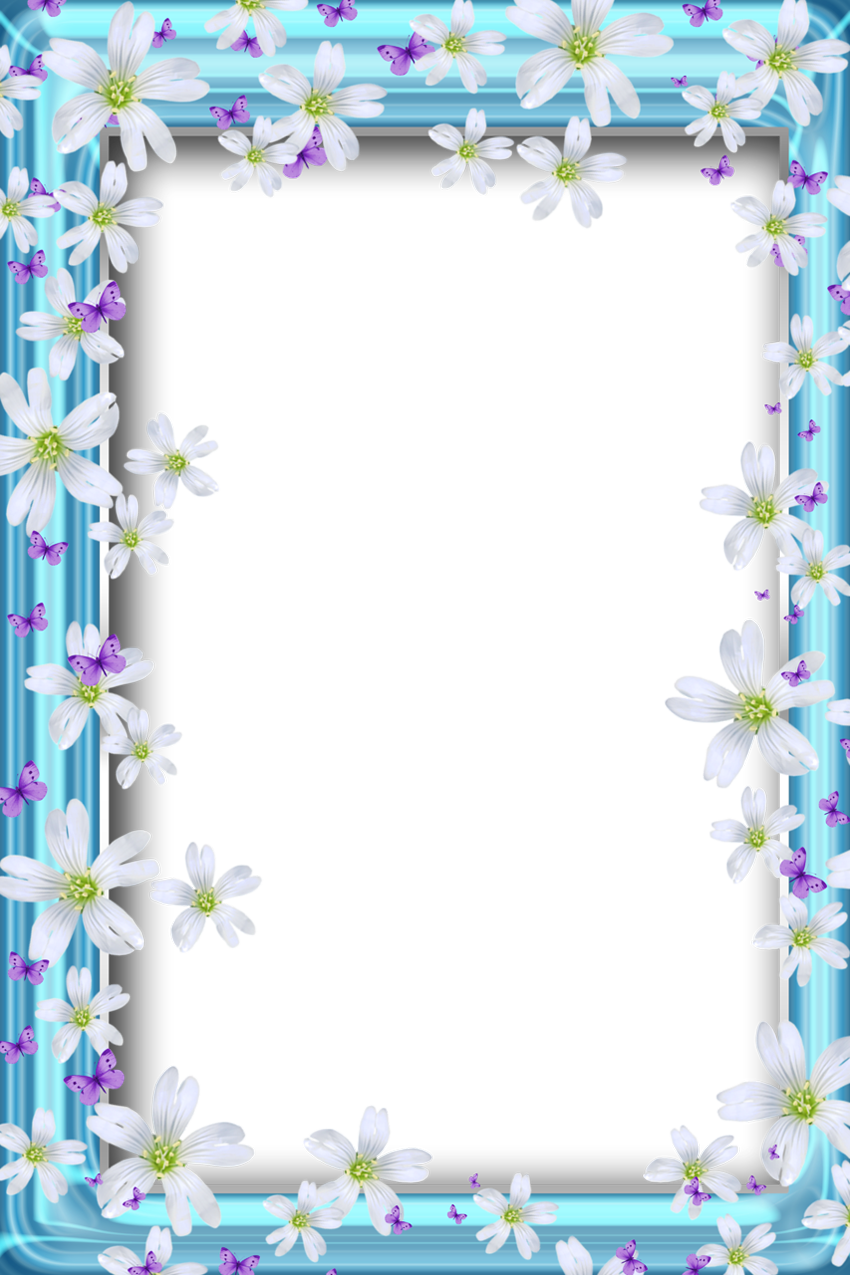 Borders For Paper, Borders And Frames, Flower Frame, - Beautiful Butterflies Borders And Frames Clipart (850x1275), Png Download