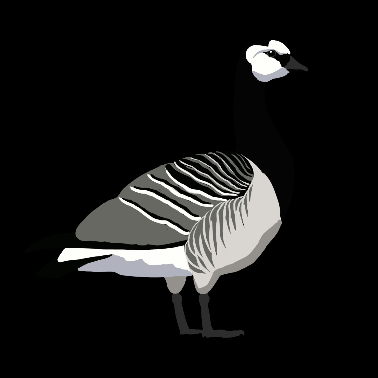 Barnacle Goose Png Clipart (1218x1218), Png Download