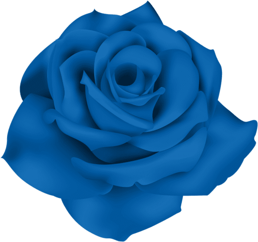 Free Png Download Single Blue Rose Png Images Background - Blue Rose No Background Clipart (850x797), Png Download