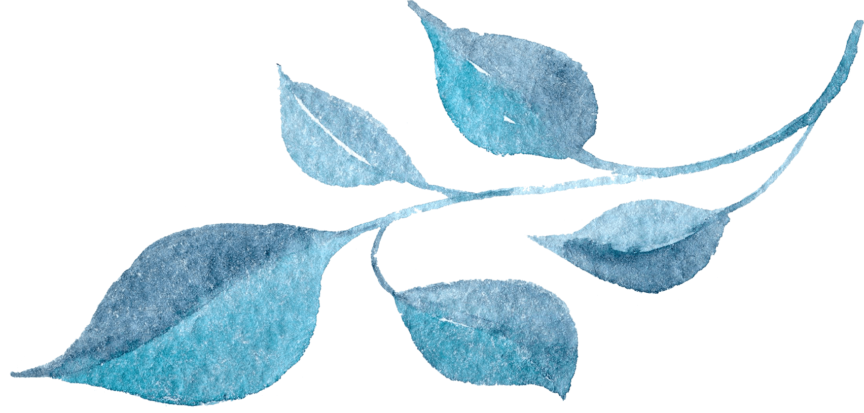 Clip Art Stock Watercolor Flower Blue Background Floral - Blue Watercolor Flower Transparent - Png Download (1704x814), Png Download