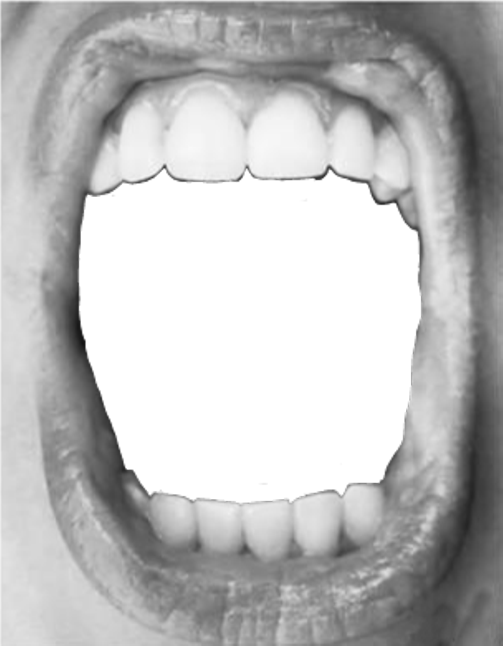 Report Abuse - Thomas Barbey Double Exposure Clipart (1024x1314), Png Download