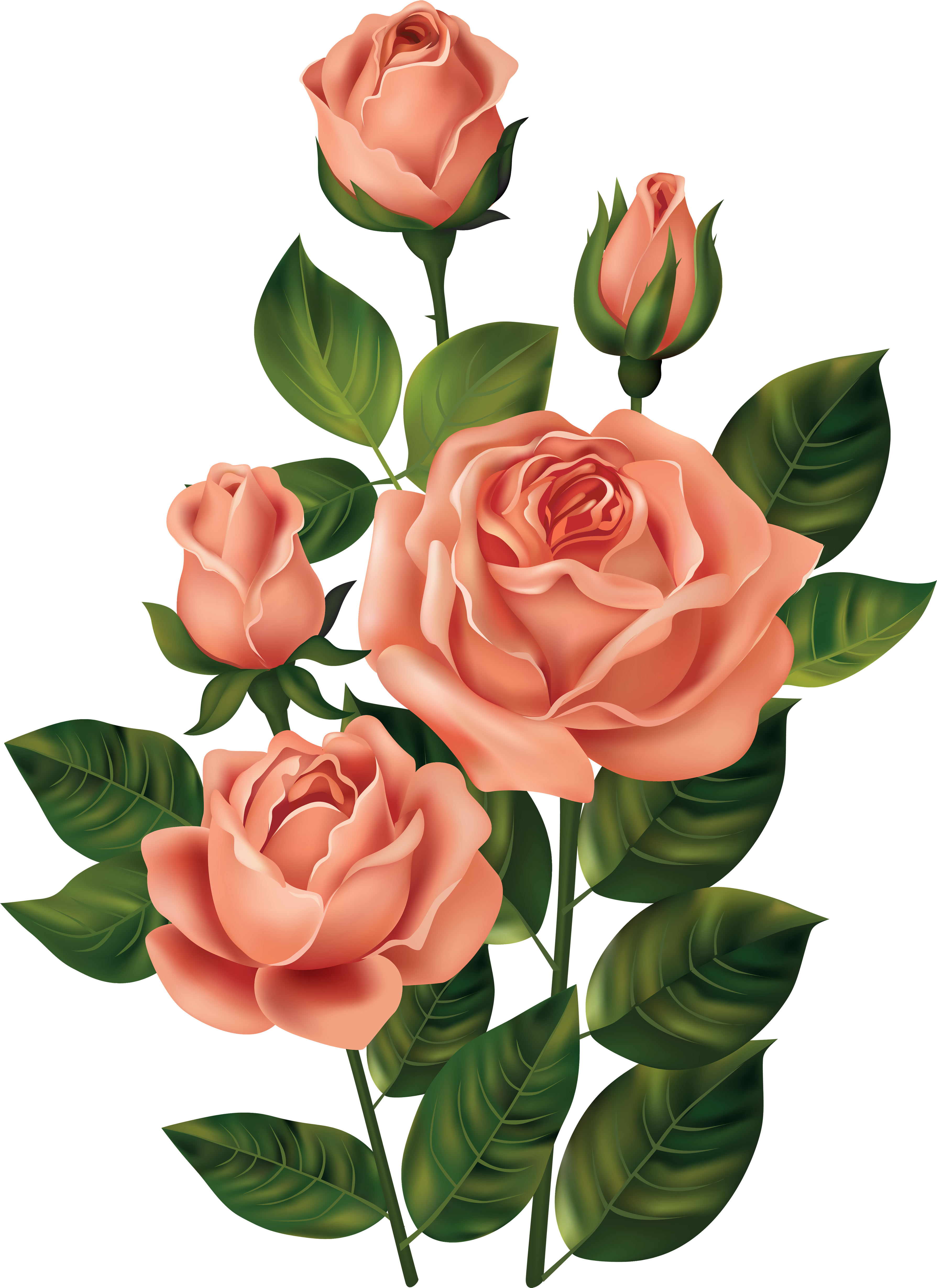 Rose Clipart Top - Roses Clipart - Png Download (3696x5000), Png Download
