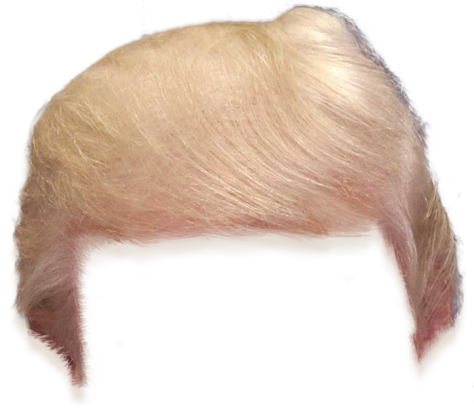 Camila Cabello - Donald Trump Hair Png Clipart - Large Size Png Image - PikPng Camila Cabello - Donald Trump Hair Png Clipart - Large Size Png Image - PikPng